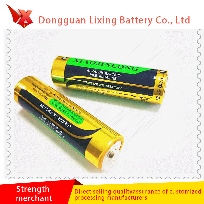 Nhà máy trực tiếp cung cấp AA5 Hiệu suất cao Kiềm cao Tiếng Anh Tiếng Pháp songngữ Mercury Thân thiện với Mercury Pin cột có dung lượng cao